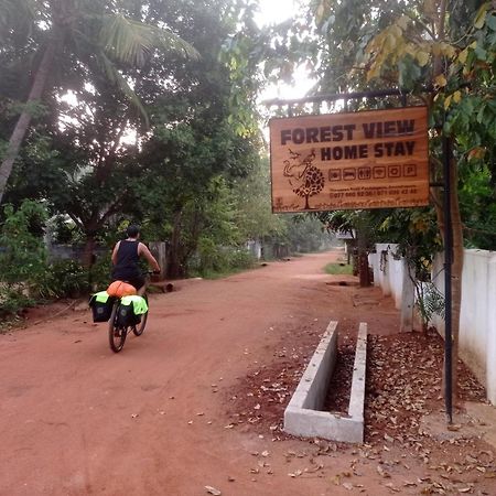 Forest View Home Stay Anuradhapura Zewnętrze zdjęcie