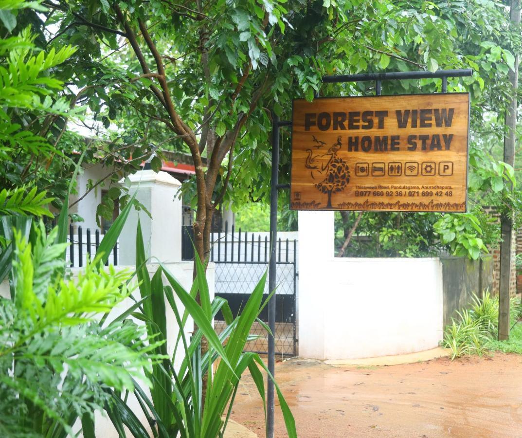 Forest View Home Stay Anuradhapura Zewnętrze zdjęcie